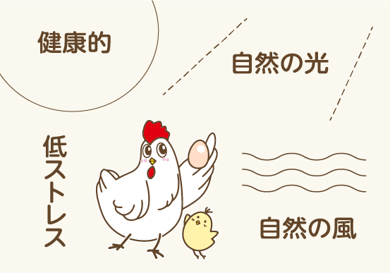 自然の光や自然の風によって低ストレスで健康的に育ちます