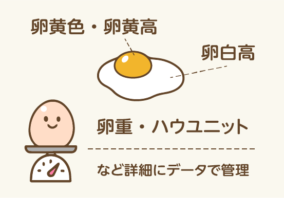 卵黄色・卵黄高・卵白高・卵重・ハウスユニットなど詳細にデータで管理