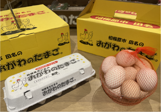 贈り物に最適!
選べるおがわのたまご化粧箱