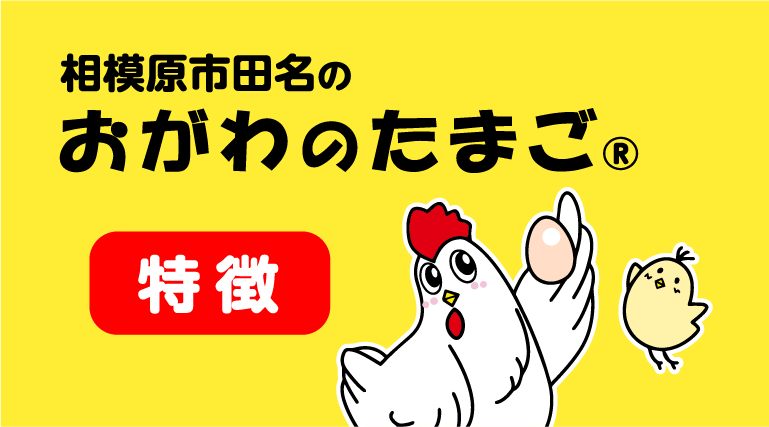 相模原市田名のおがわのたまご
特徴