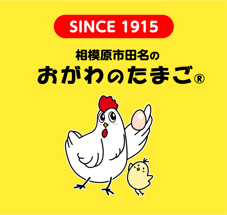 SINCE 1915
相模原市田名の
おがわのたまご