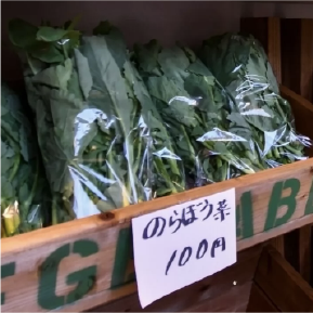 地場産野菜が直販価格